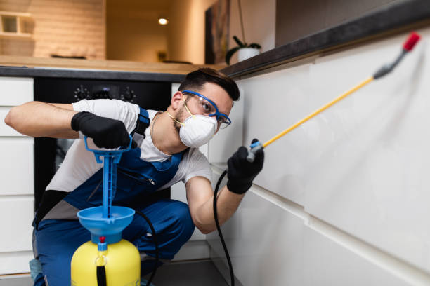 Best Affordable Pest Control Services  in Lochearn, MD