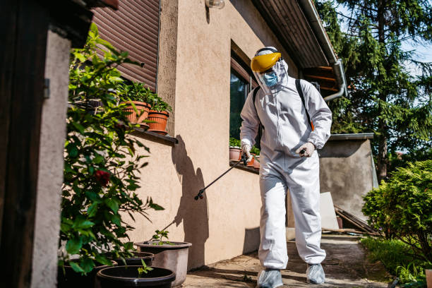 Best Pest Control Near Me  in Lochearn, MD