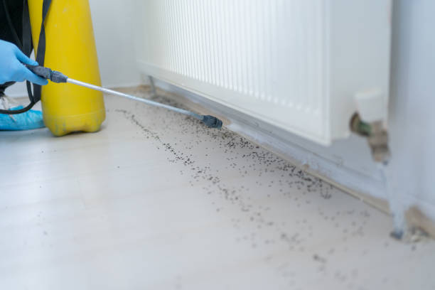 Best Insect Control  in Lochearn, MD