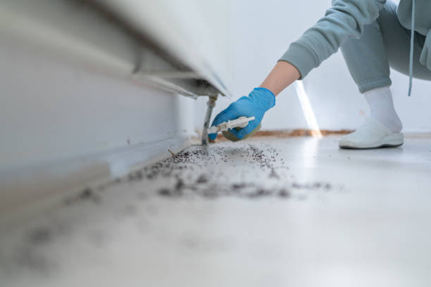 Best Pest Inspection Near Me  in Lochearn, MD
