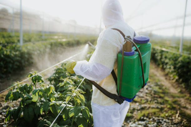 Best Wildlife Control Services  in Lochearn, MD
